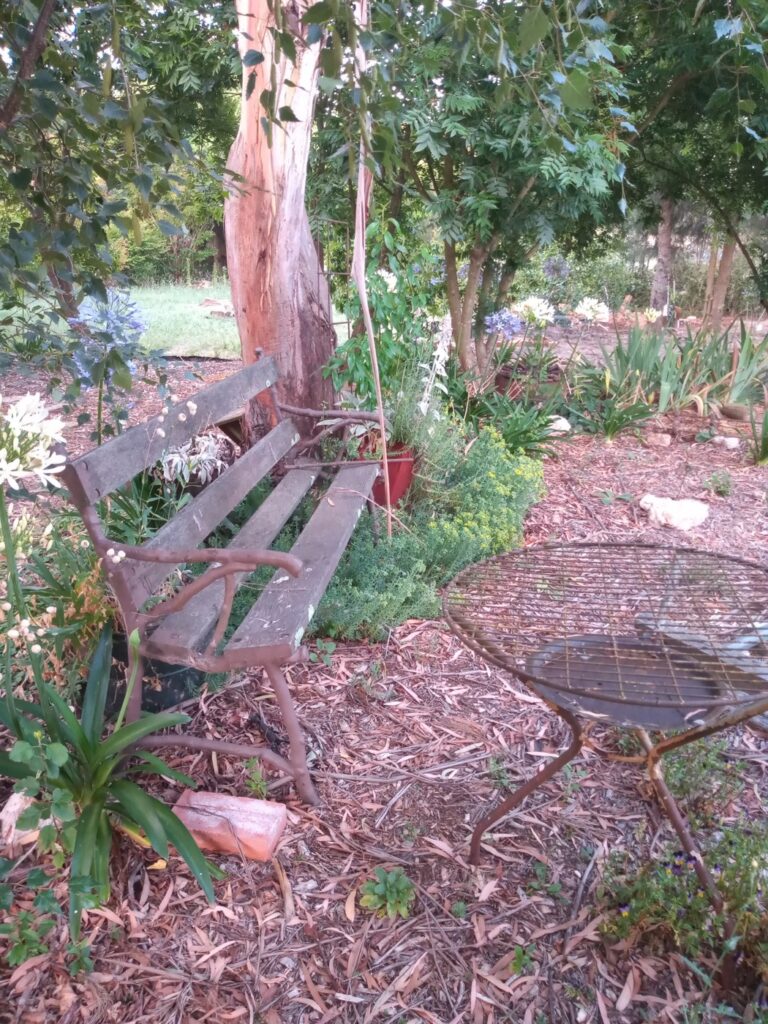 Sitting area in front of Woodland Cottage. The bench and table give the permaculture inters a place to sit in nature.