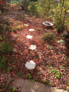A path in Tanglewood is made of circular stones surrounded by red leaves. To symbolizes the journey of self-discovery, growth and a better life overall that Ruth Acland's mentorship focus on.
