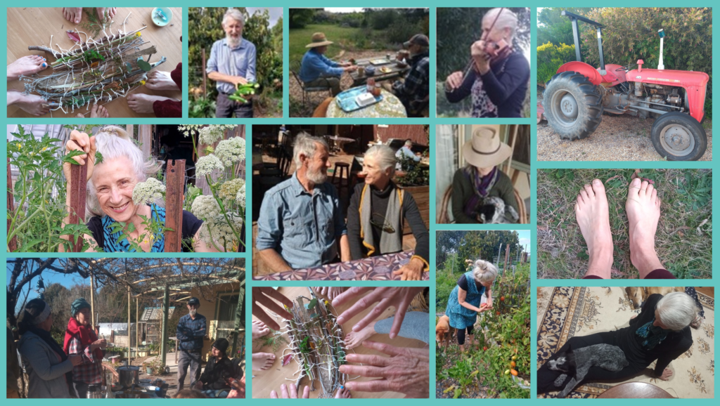 The People of Tanglewood Permaculture Farm. Leonie-Ruth and David Acland teach farming sustainably, permaculture agriculture, and chare their homesteading garden