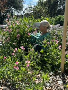 Femtor Leonie-Ruth Acland engaging with the flowers as she does when she mentors women